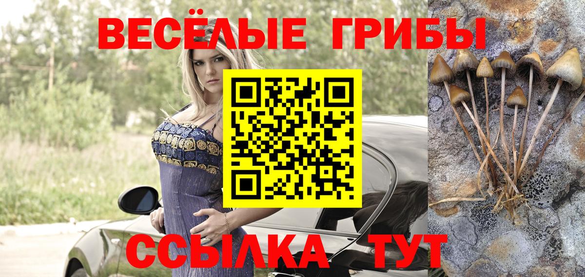 Шахты  Псилоцибиновые грибы ЛСД  что такое   Галлюциногенные грибы Psilocybine cubensis  Вход с VPN 